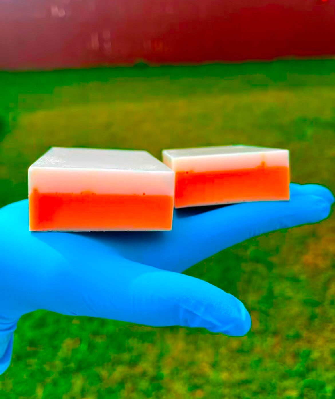 Turmeric’s Revenge